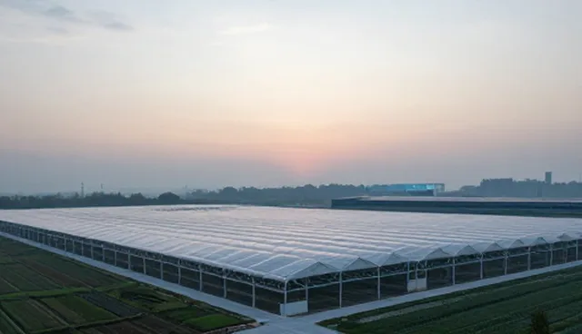 设计选型与维护建议：账号代运营性能与适用条件