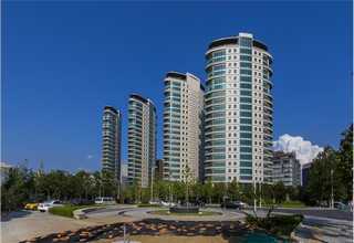 肇庆网站建设网站建设广告